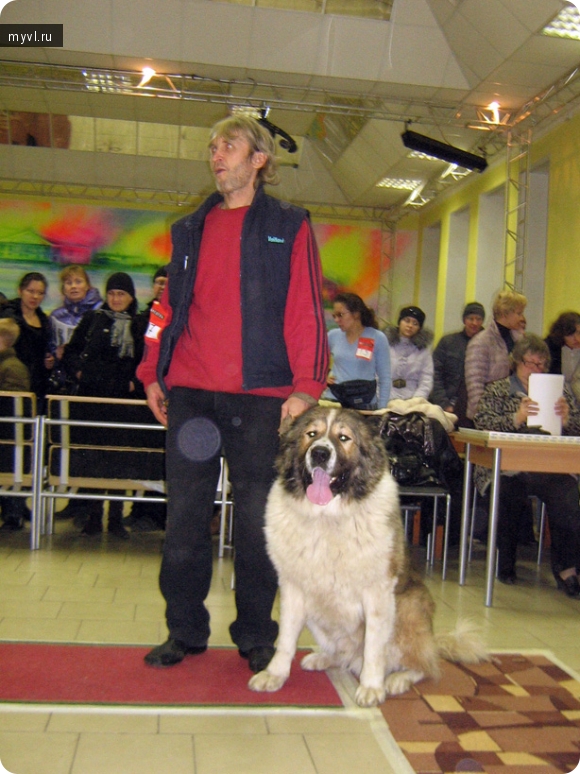 Великие Луки, выставка собак, Осень 2010