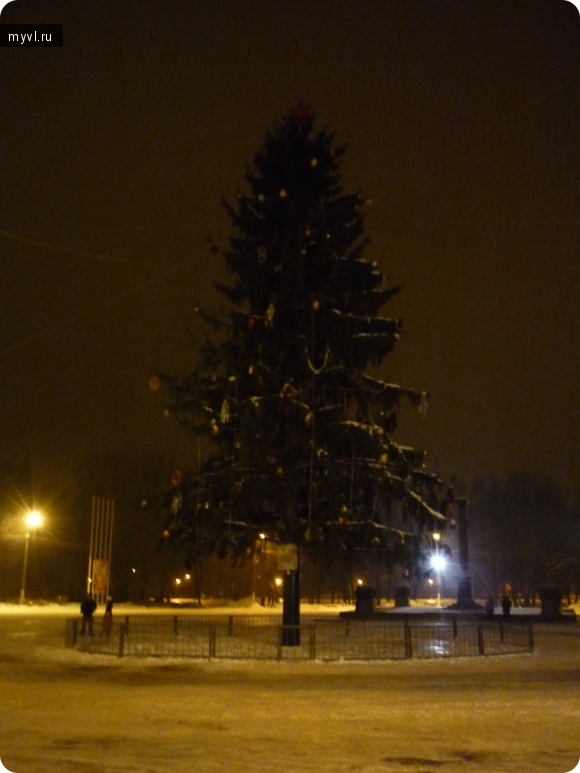елка на площади ленина в великих луках