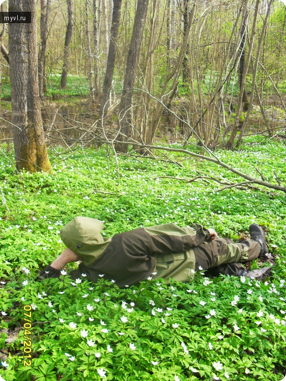 7 апреля 2012 г.